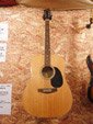 Acoustic Guitar