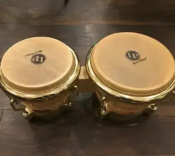 Bongo